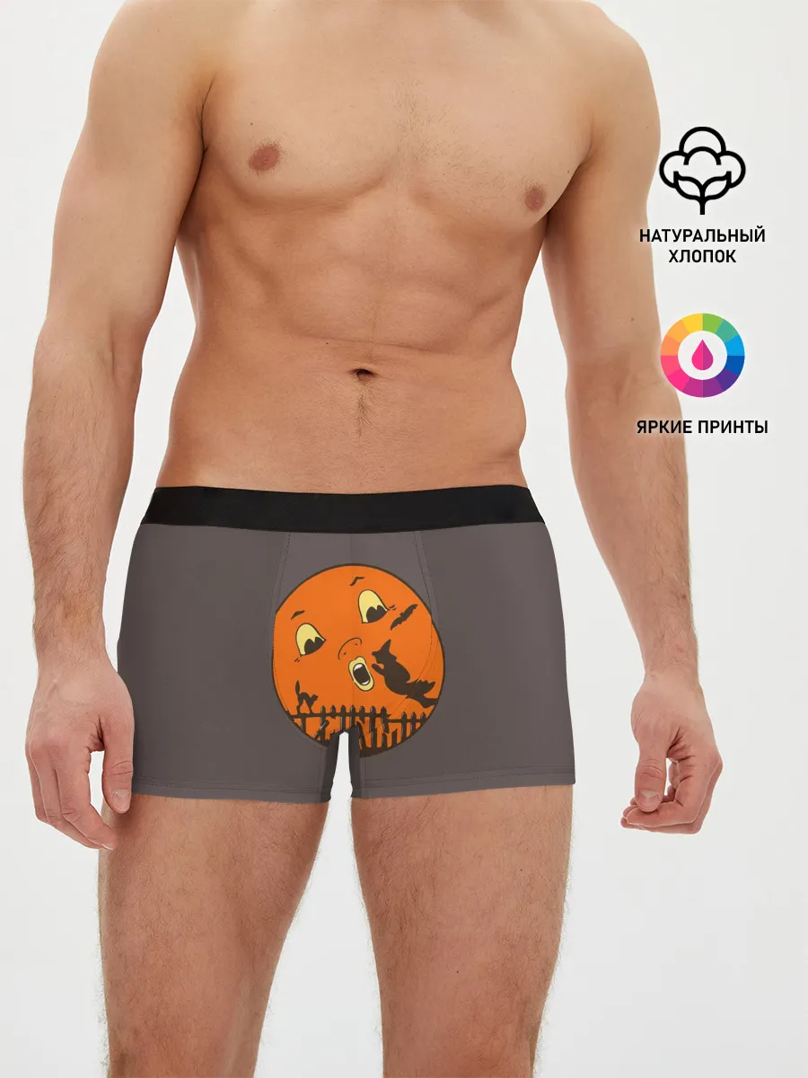 Мужские трусы боксеры / Ожившая ночь