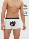 Мужские трусы боксеры / Черная Летучая Мышь