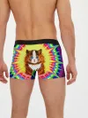 Мужские трусы боксеры / Psychedelic Rainbow Cat