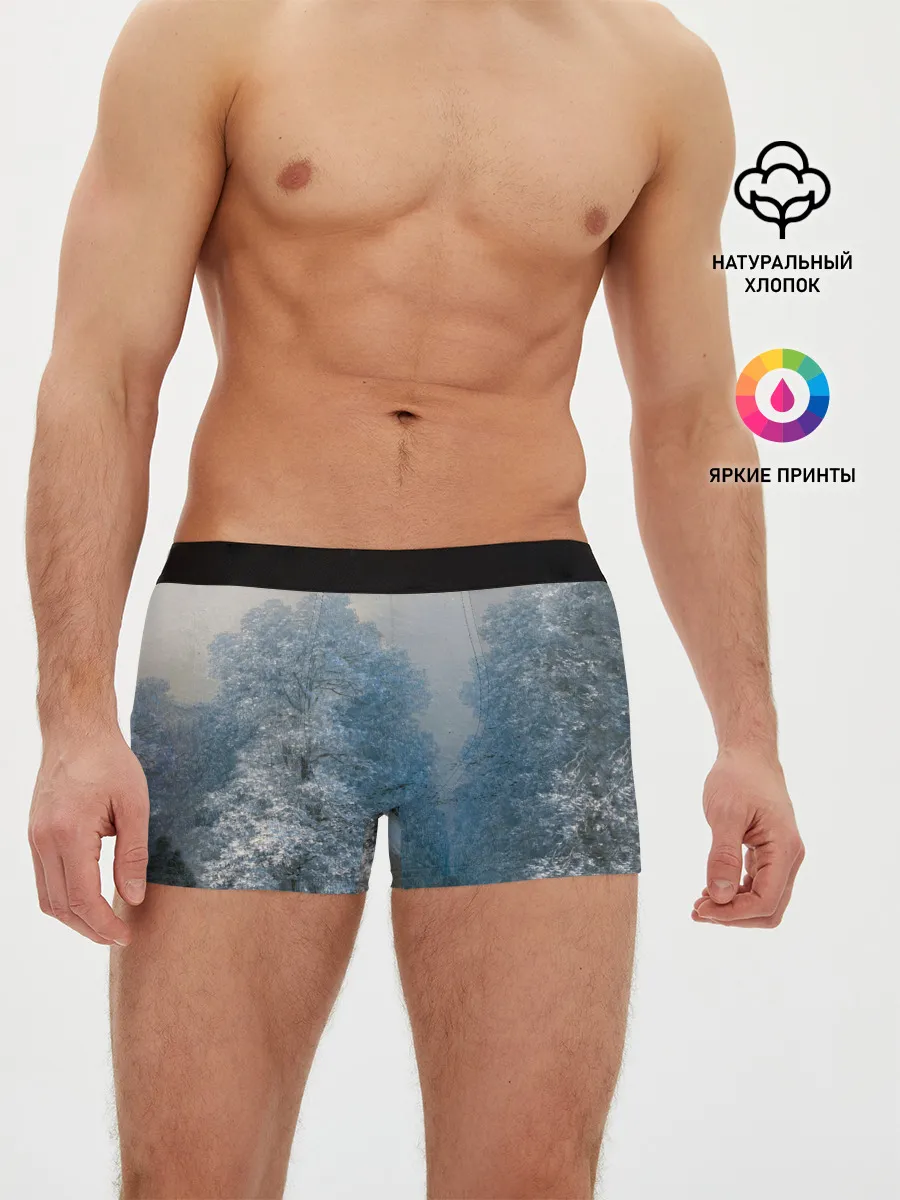 Мужские трусы боксеры / Зимний пейзаж картина маслом