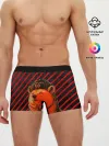 Мужские трусы боксеры / Медведь в форме