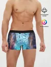 Мужские трусы боксеры / Звездный тигр