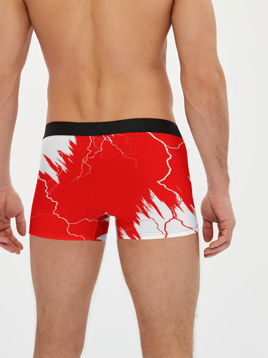 Мужские трусы боксеры / BERSERK | logo