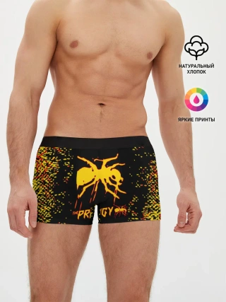 Мужские трусы боксеры / The Prodigy | логотип