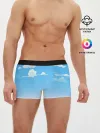 Мужские трусы боксеры / Летнее небо