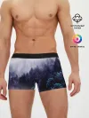 Мужские трусы боксеры / ЛЕСНОЙ ТУМАН