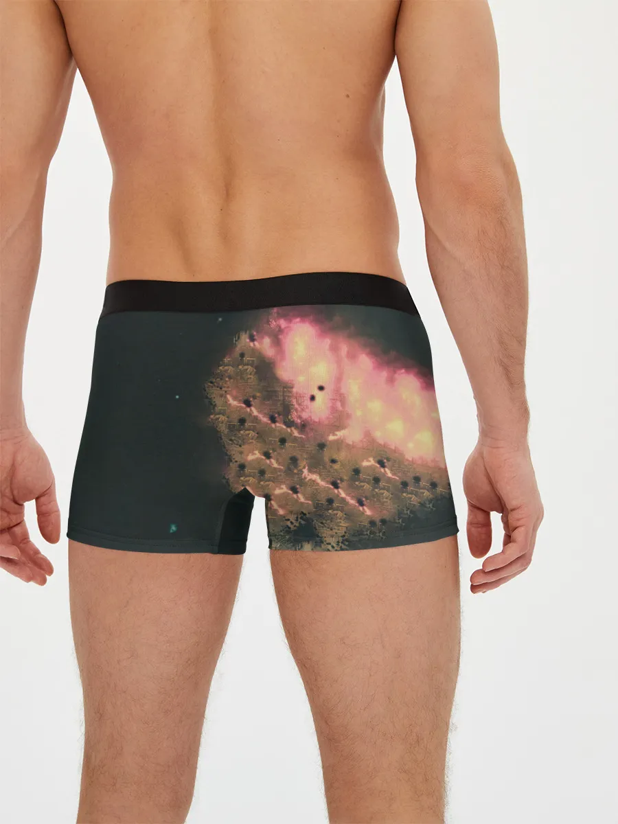 Мужские трусы боксеры / Моя банда Раст