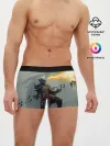 Мужские трусы боксеры / Dragonborne is here
