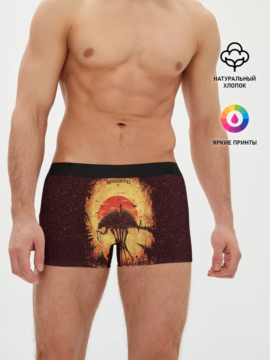 Мужские трусы боксеры / K.aЛюбимый Моровинд