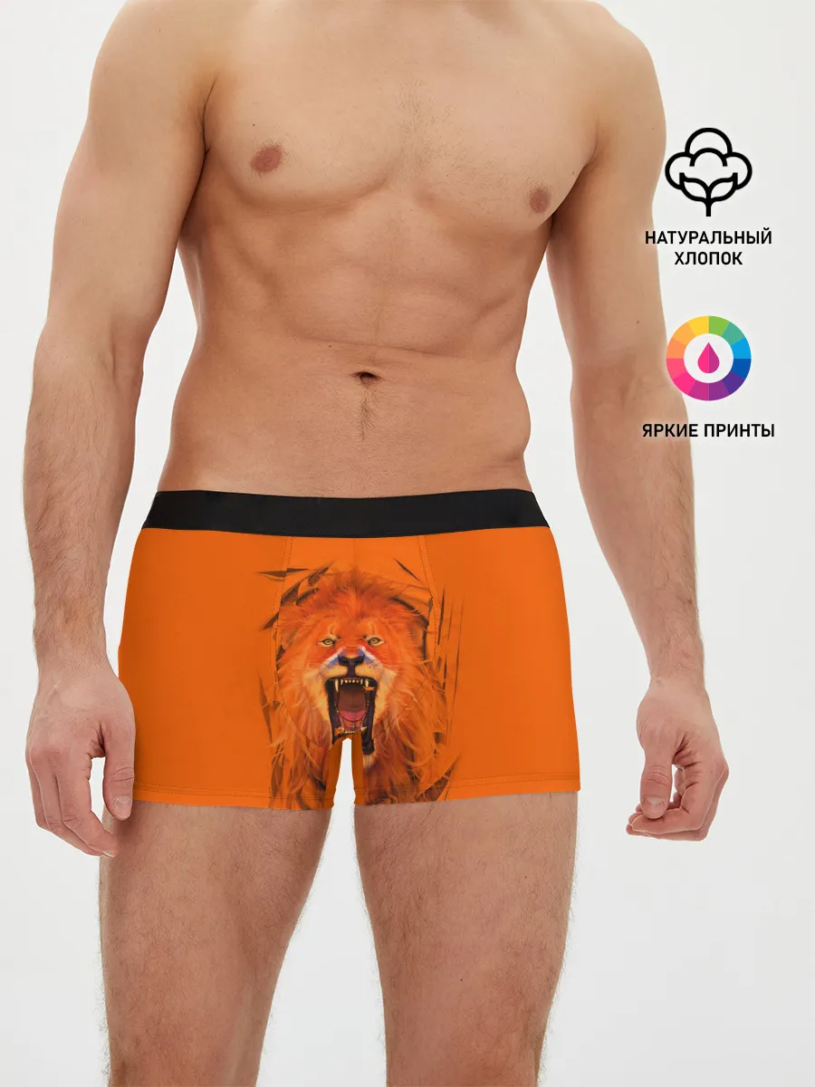 Мужские трусы боксеры / ЛЕВ СКВОЗЬ ТКАНЬ
