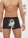Мужские трусы боксеры / Котенок Ми