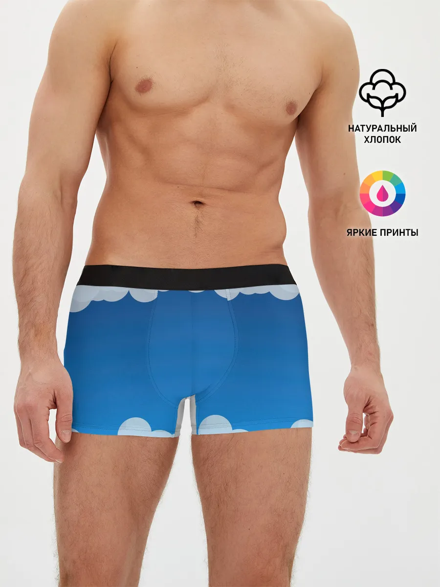 Мужские трусы боксеры / Полёт в облаках