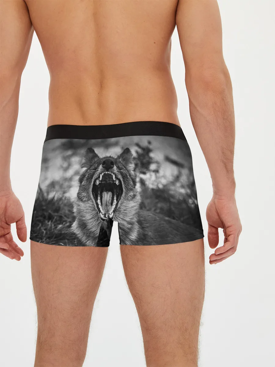 Мужские трусы боксеры / Волчья пасть, зевает