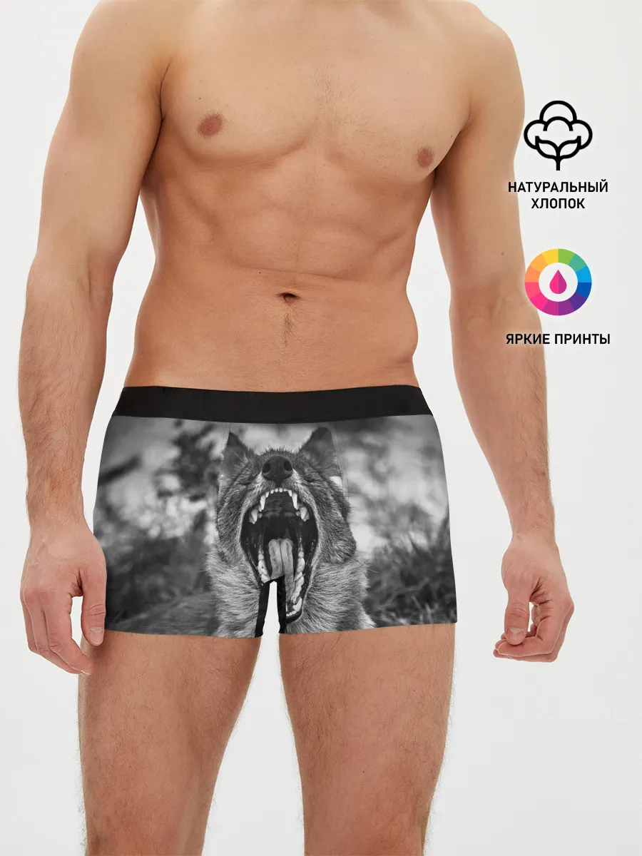 Мужские трусы боксеры / Волчья пасть, зевает