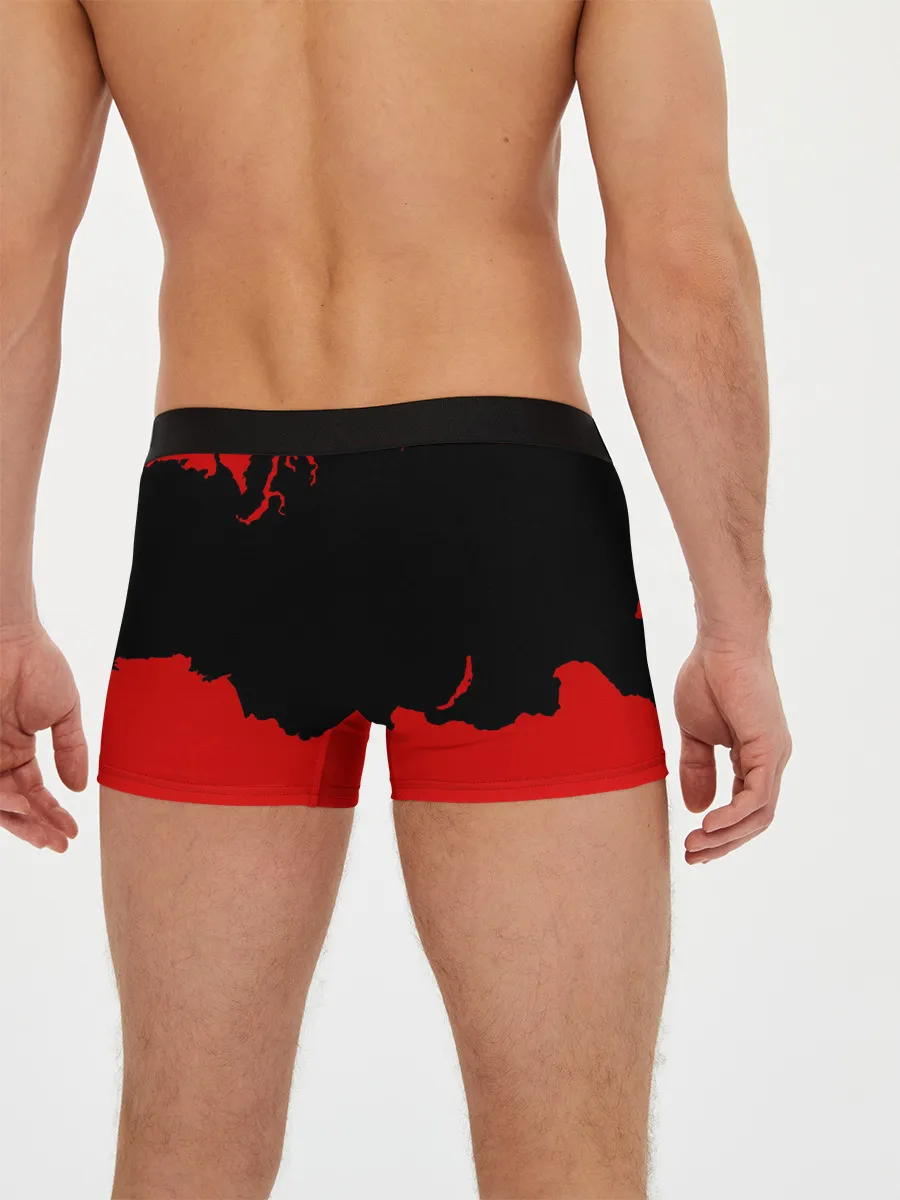 Мужские трусы боксеры / Гражданская оборона: СССР.