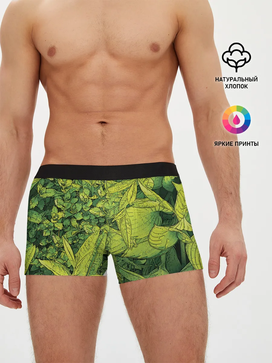 Мужские трусы боксеры / Растительная жизнь - Хоста