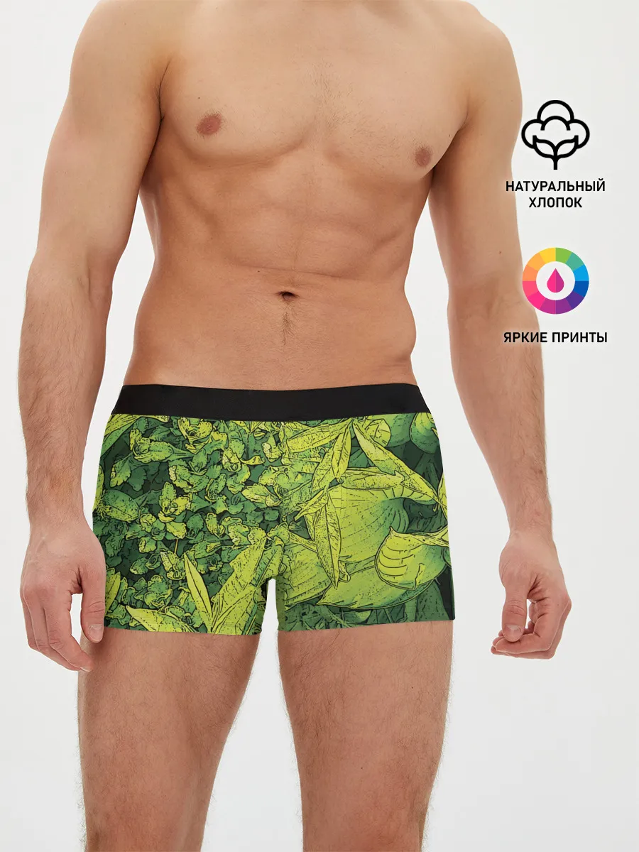 Мужские трусы боксеры / Растительная жизнь - Хоста