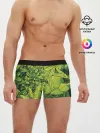 Мужские трусы боксеры / Растительная жизнь - Хоста