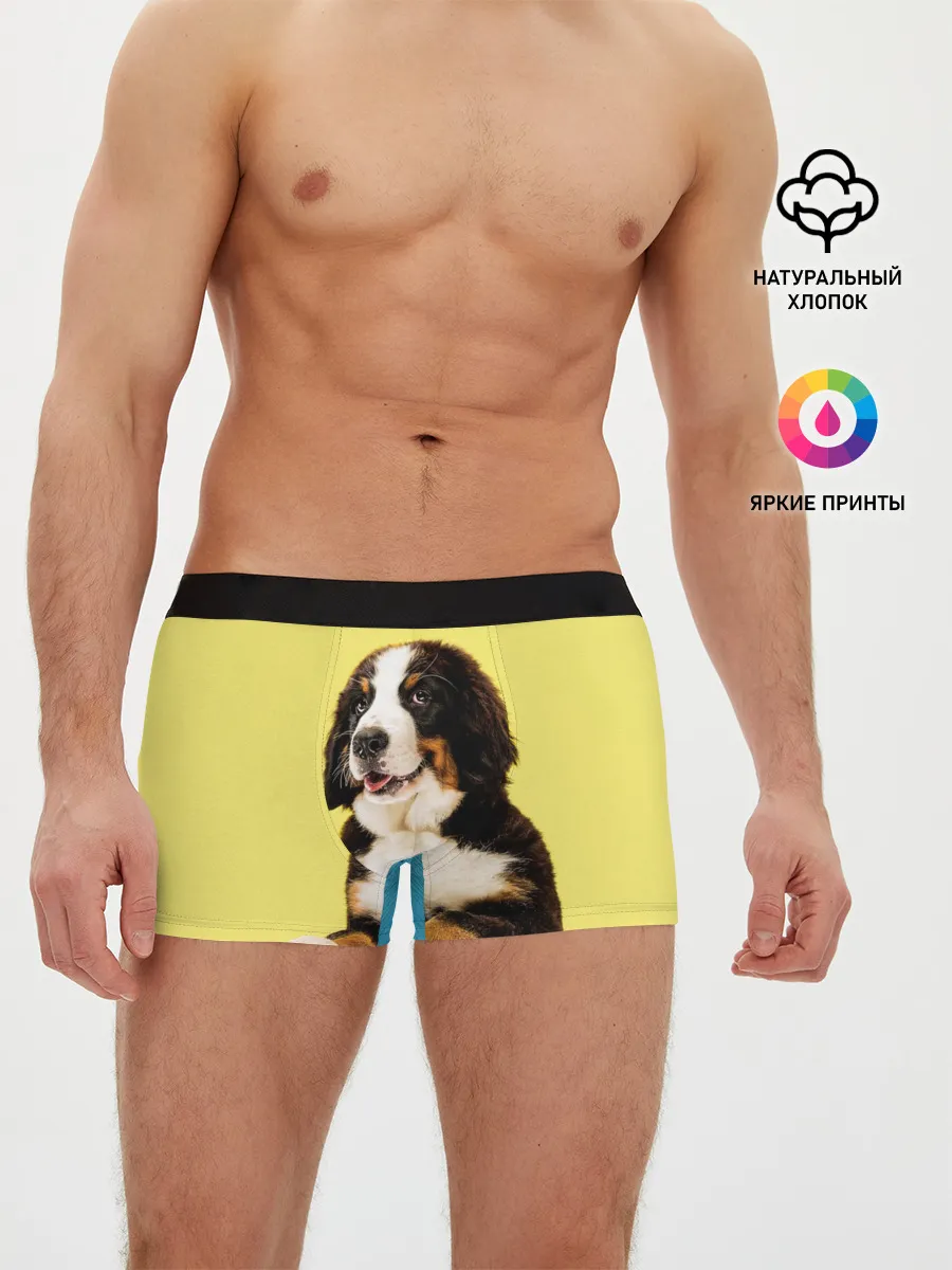Мужские трусы боксеры / Бернский зенненхунд, Berner Sennenhund