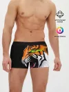 Мужские трусы боксеры / Тигр, с зелеными глазами