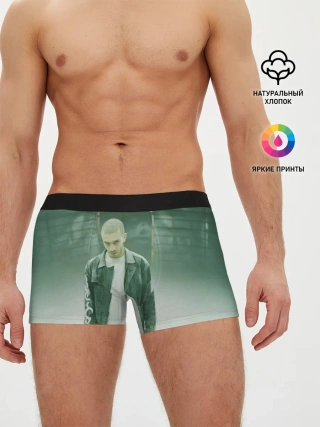 Мужские трусы боксеры / Хаски в комнате