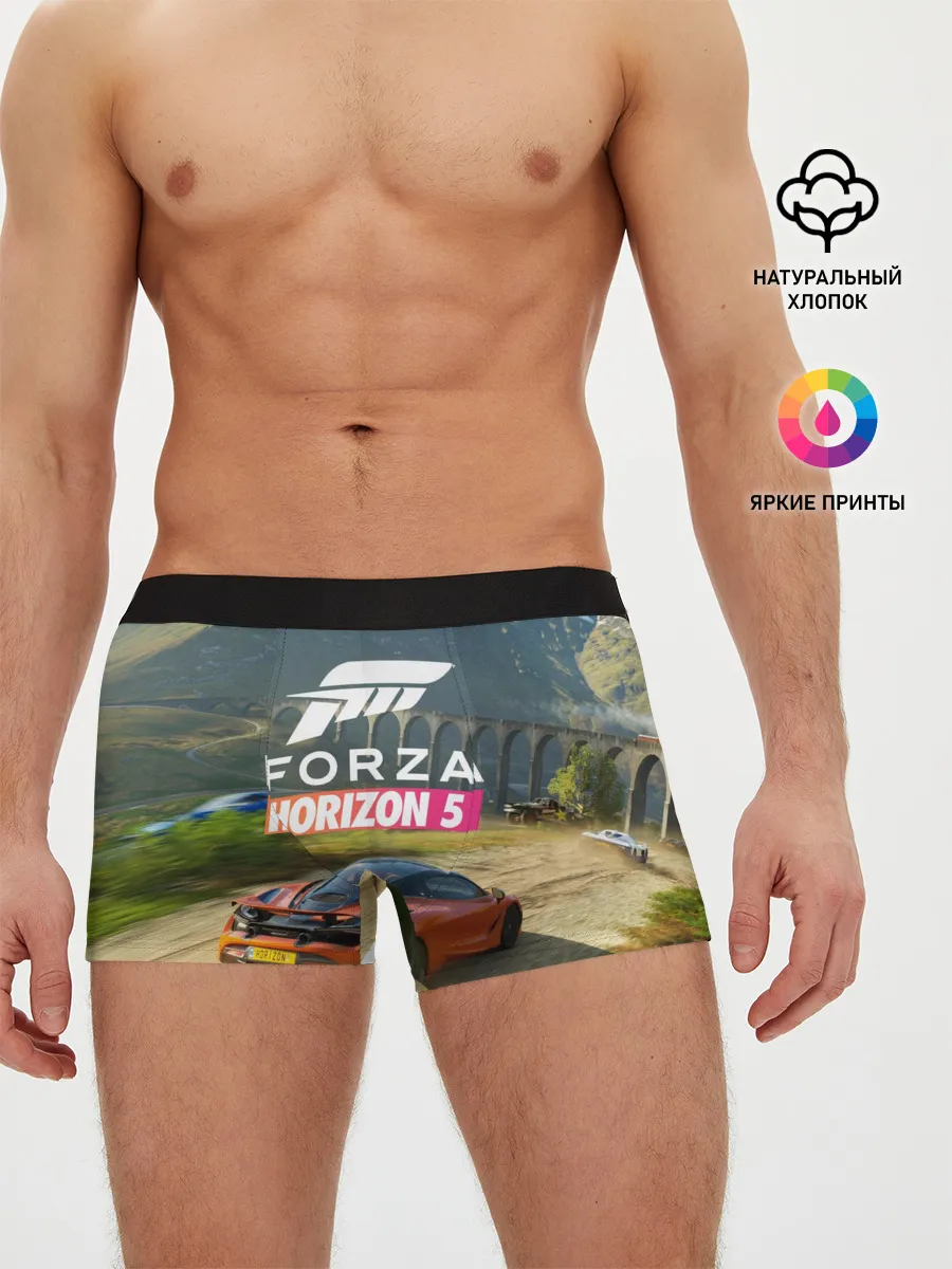 Мужские трусы боксеры / Forza Horizon 5, игра