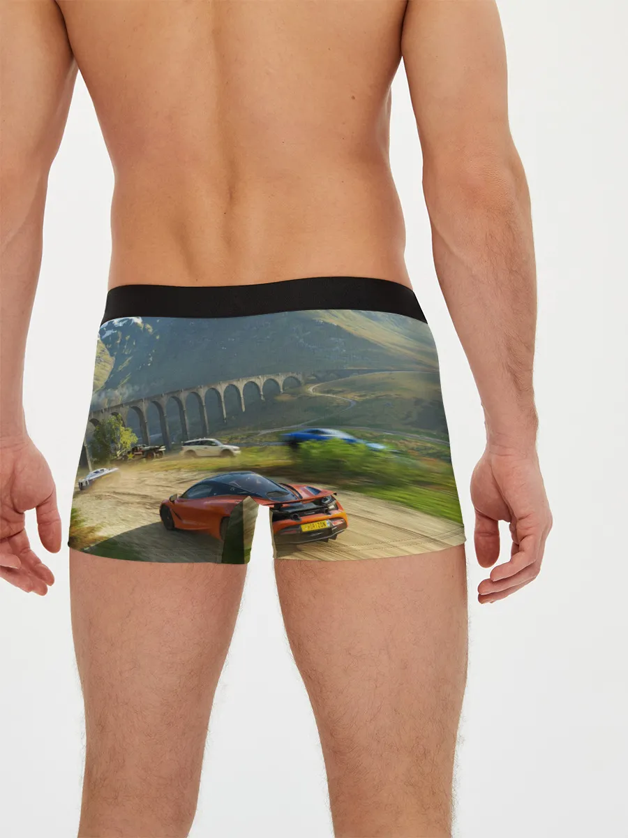 Мужские трусы боксеры / Forza Horizon 5, игра