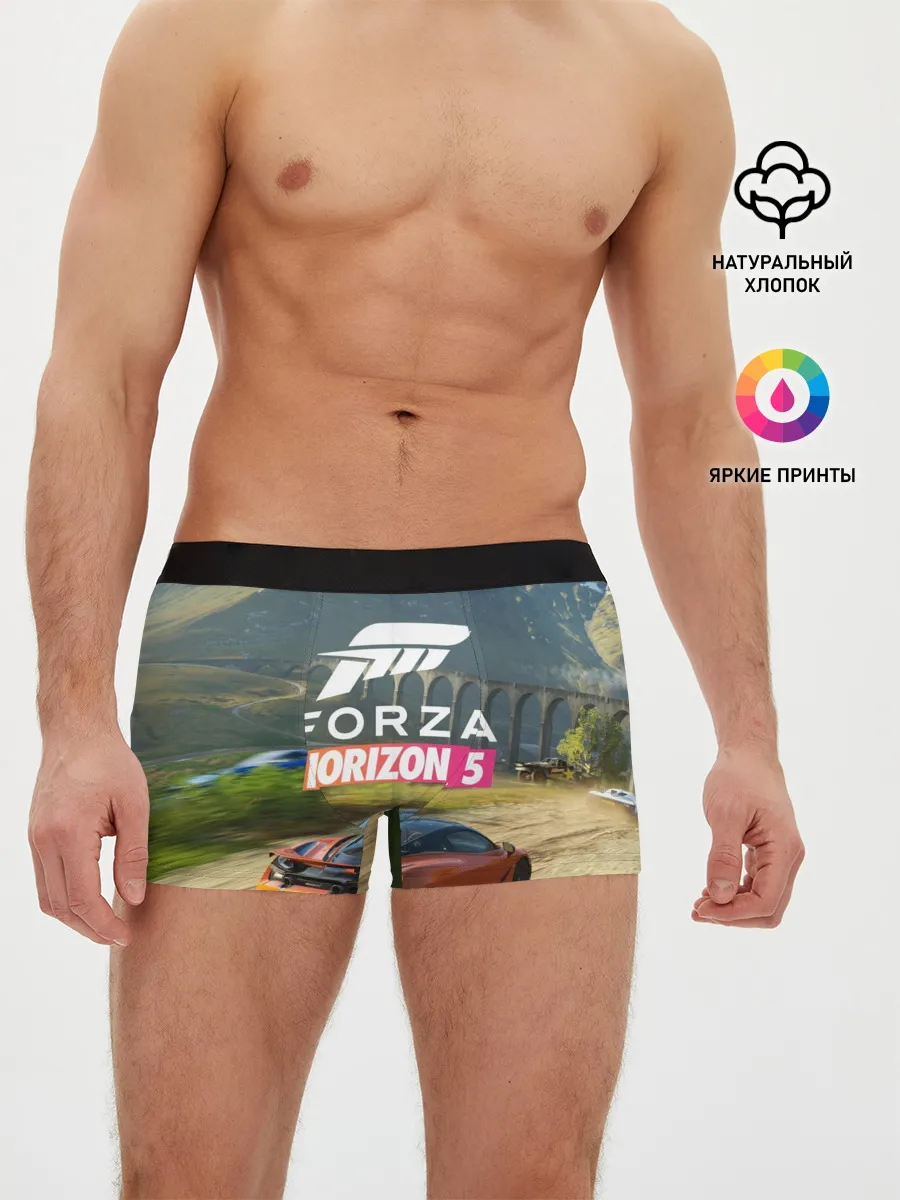 Мужские трусы боксеры / Forza Horizon 5, игра