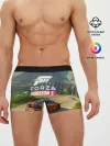 Мужские трусы боксеры / Forza Horizon 5, игра
