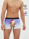 Мужские трусы боксеры / Новогодний Лабрадор / New Years Labrador
