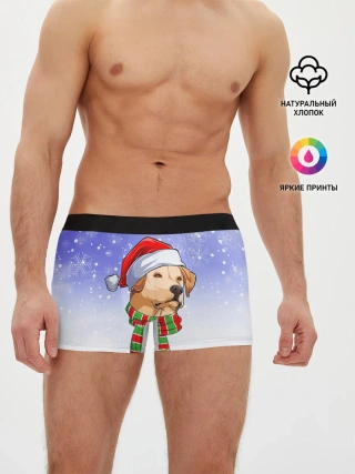 Мужские трусы боксеры / Новогодний Лабрадор / New Years Labrador