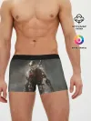 Мужские трусы боксеры / For Honor