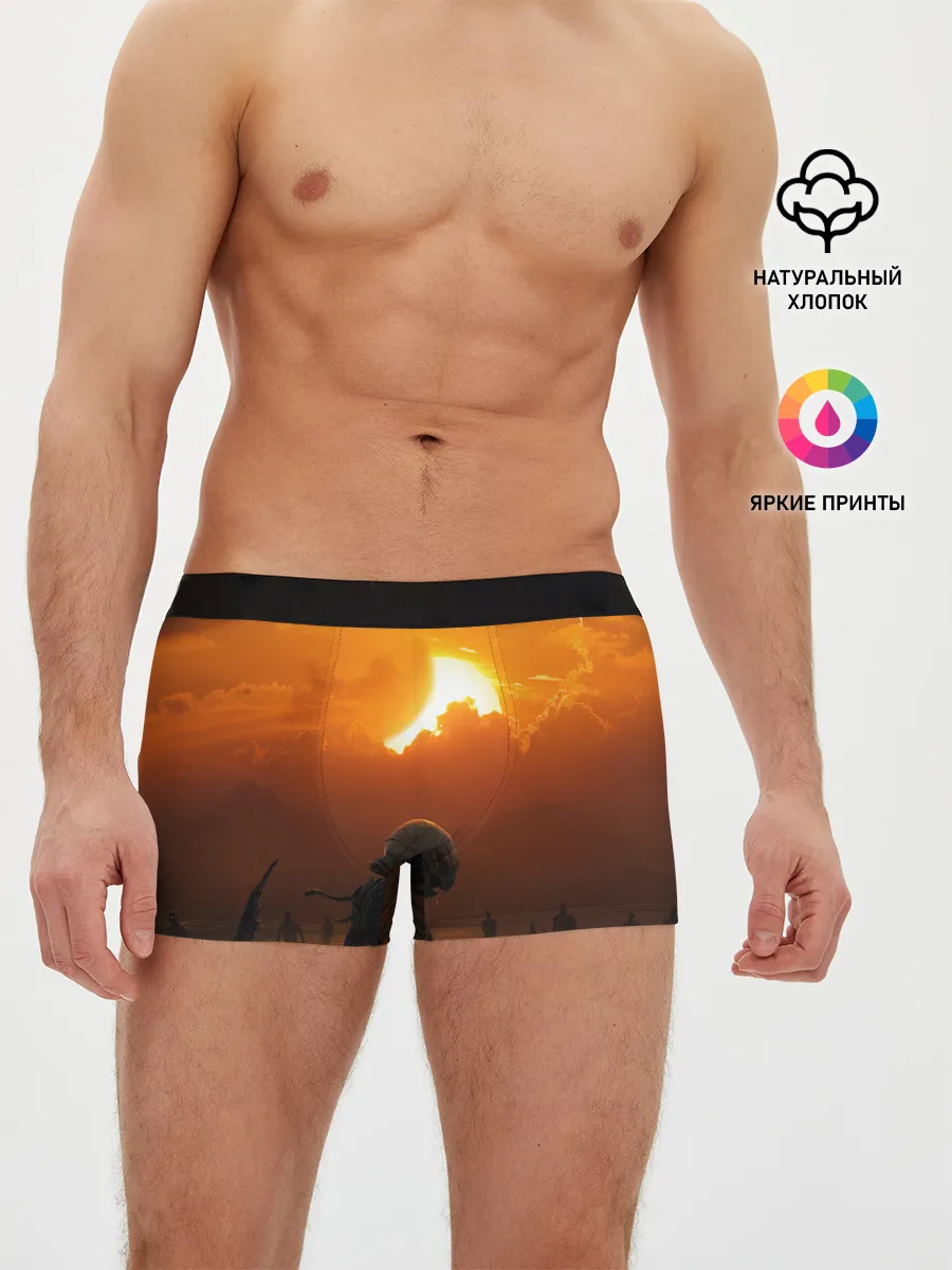 Мужские трусы боксеры / Берсерк закат