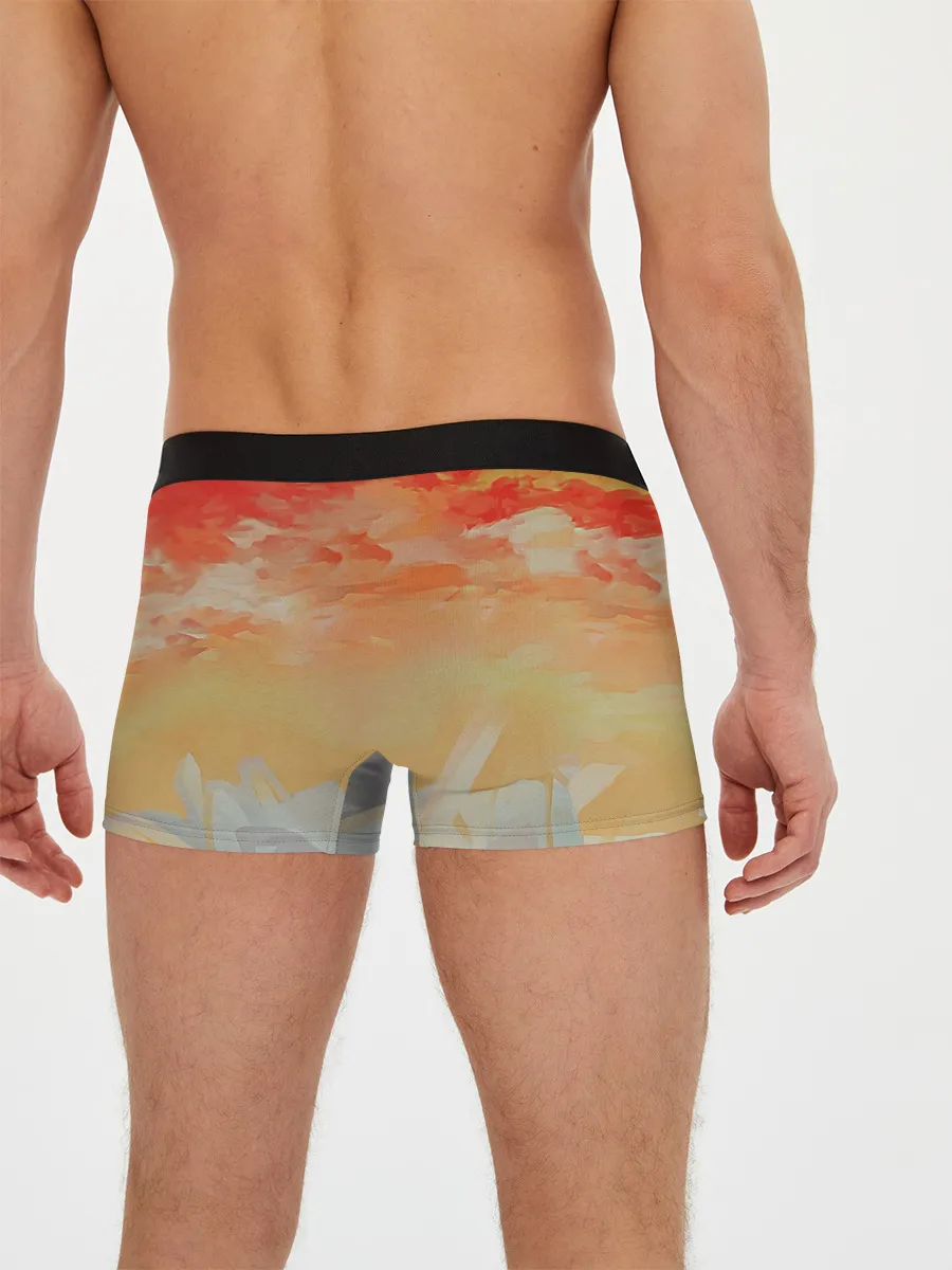 Мужские трусы боксеры / Ryugu Rena