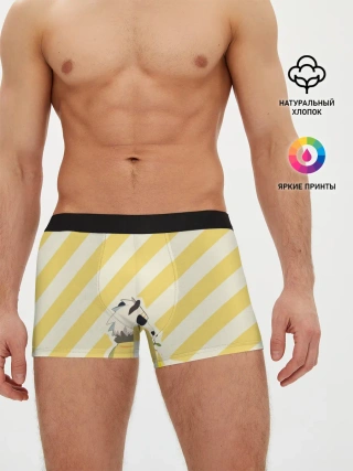 Мужские трусы боксеры / Гоухин beastars