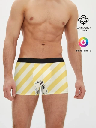 Мужские трусы боксеры / Гоухин beastars