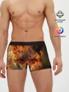 Мужские трусы боксеры / Огненная лиса
