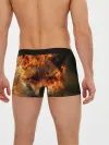 Мужские трусы боксеры / Огненная лиса