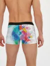 Мужские трусы боксеры / Акварель