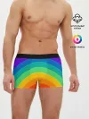 Мужские трусы боксеры / Круговая радуга