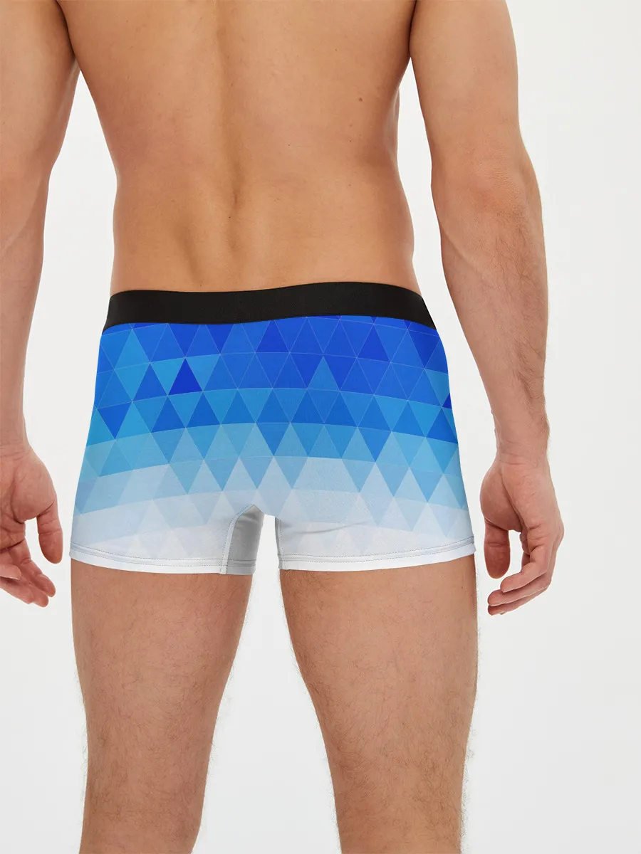 Мужские трусы боксеры / ТАНДЖИРО