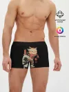 Мужские трусы боксеры / Cat Wave