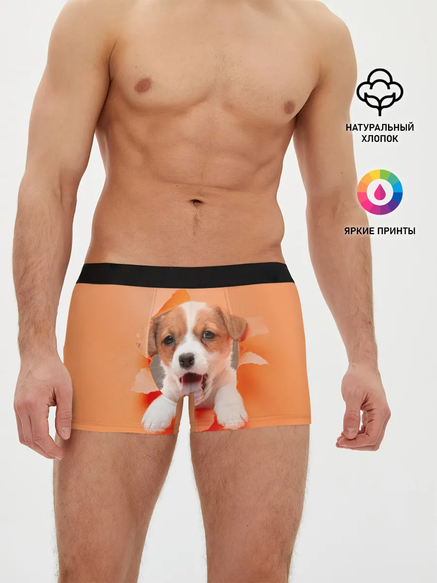Мужские трусы боксеры / Собака