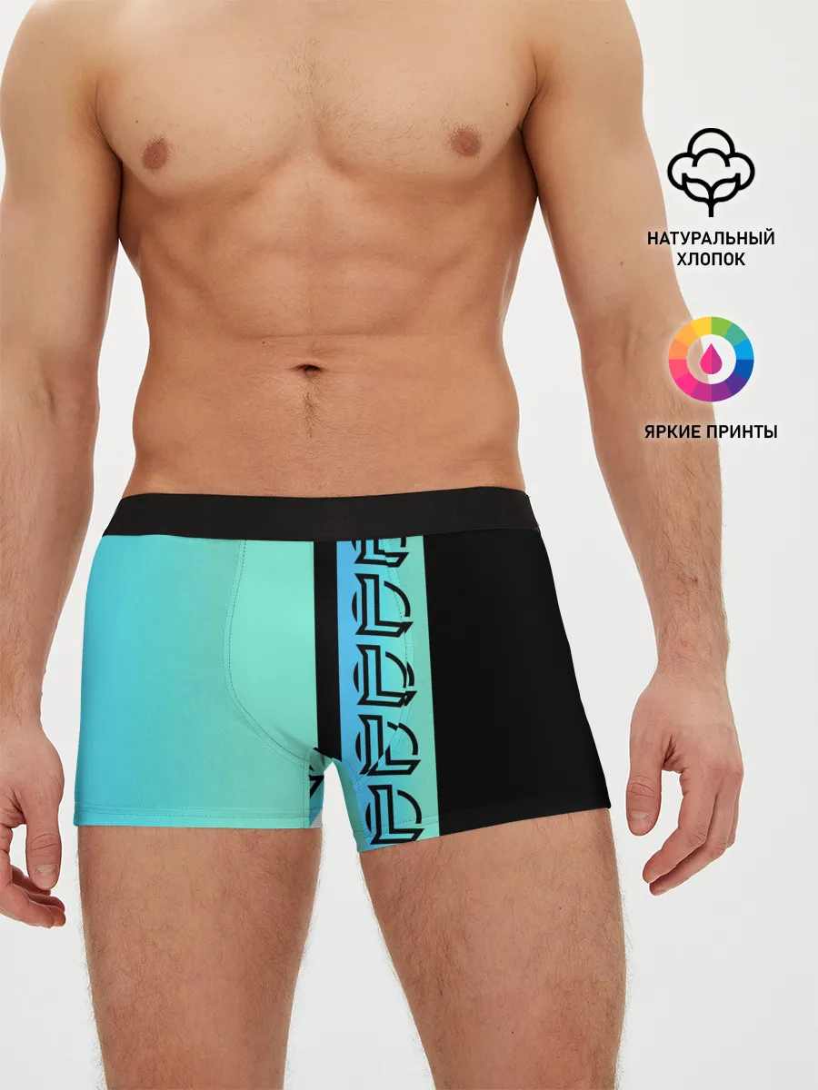 Мужские трусы боксеры / League Of Legends