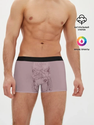Мужские трусы боксеры / No drama llama
