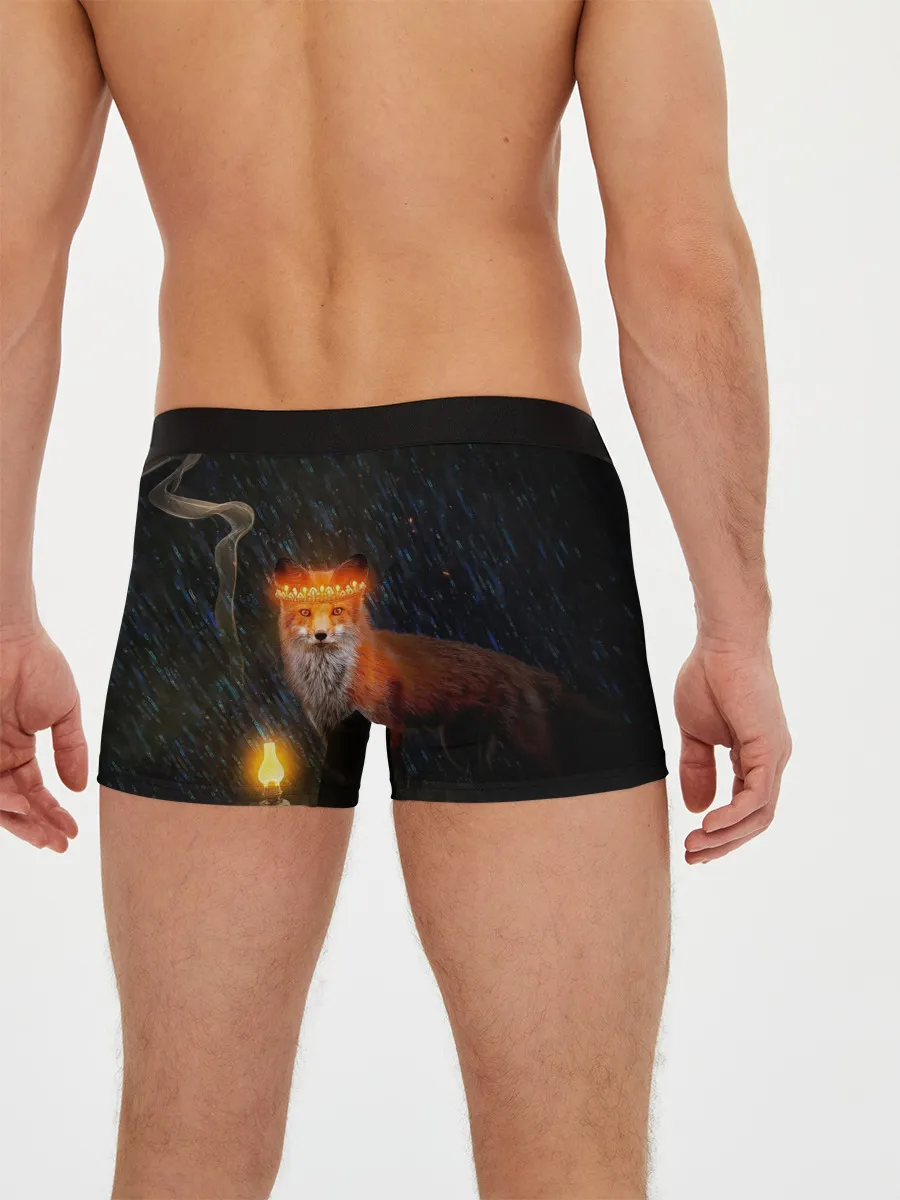 Мужские трусы боксеры / Лиса с огненной короной