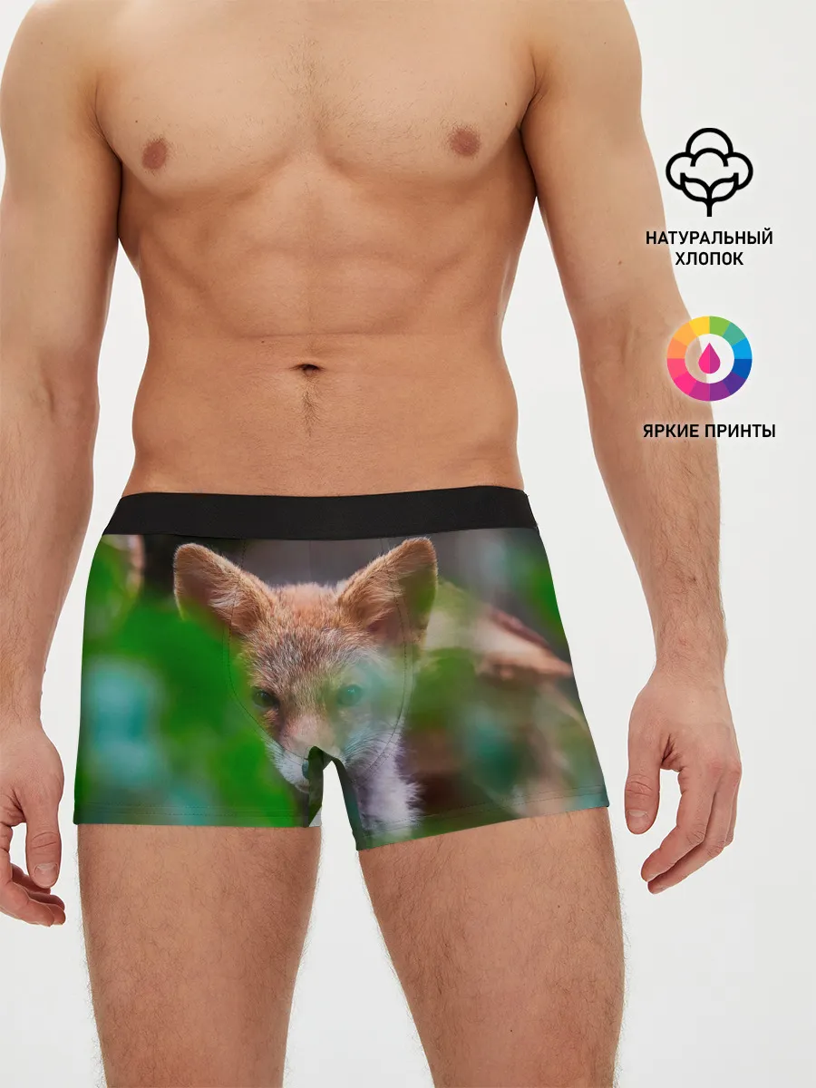 Мужские трусы боксеры / Лисичка