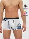 Мужские трусы боксеры / TOTTENHAM HOTSPUR.