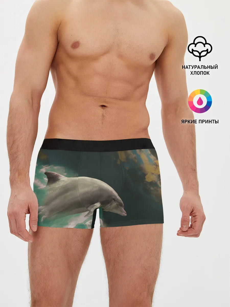 Мужские трусы боксеры / Дельфин в облаках