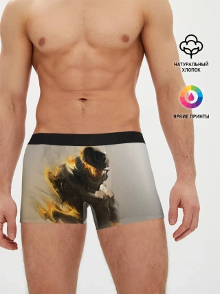 Мужские трусы боксеры / Spartan in hell | Halo